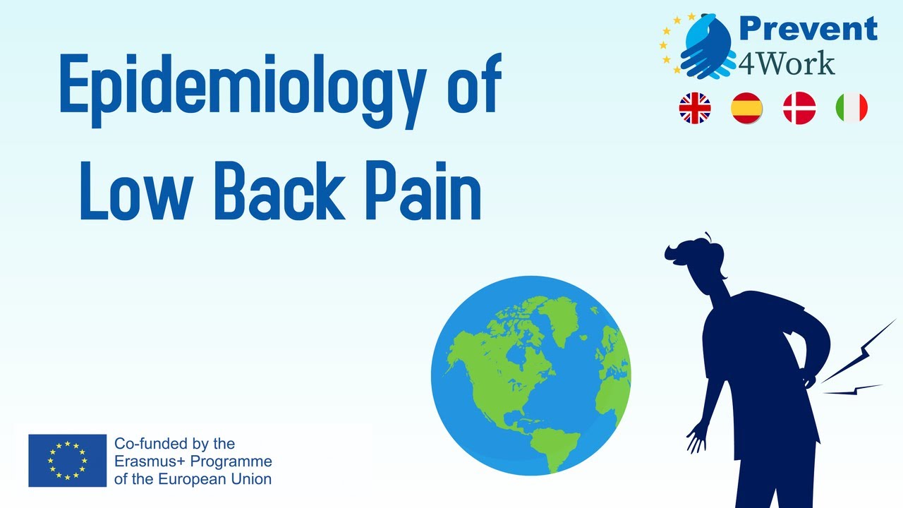 P4Work | Epidemiology of Low Back Pain