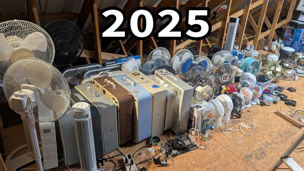 End of 2025 Fan Collection!!!