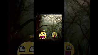 Alright Bro Where The Hell Are You?