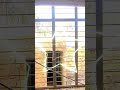 MODERN DOWBLE VOLUME WINDOW