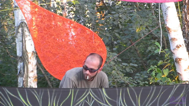 Tara Putra - Vibronica party. 2014 07 05