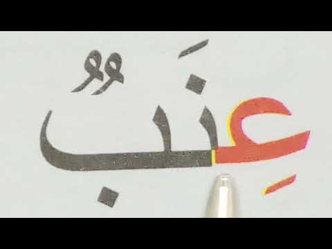 تعليم القراءة والكتابة للمبتدئين دروس محو الأمية    