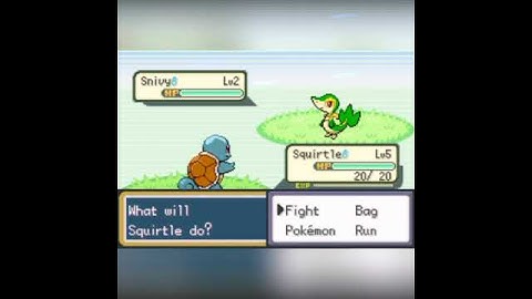 Pokemon emerald cheat unlimited money description