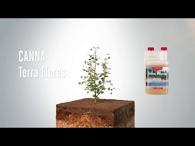 Watch CANNA Terra Flores on YouTube.