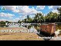 Travel to Russia. Kalitva River and Krutinka farm. Provincial Russia