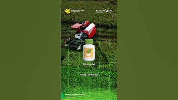 Petani Milenial Pilar Ketahanan Pangan Indonesia