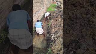septic tank mein Pani bhr gaya hai #ytshorts #construction #civilwork #heavycivil #civilengineering
