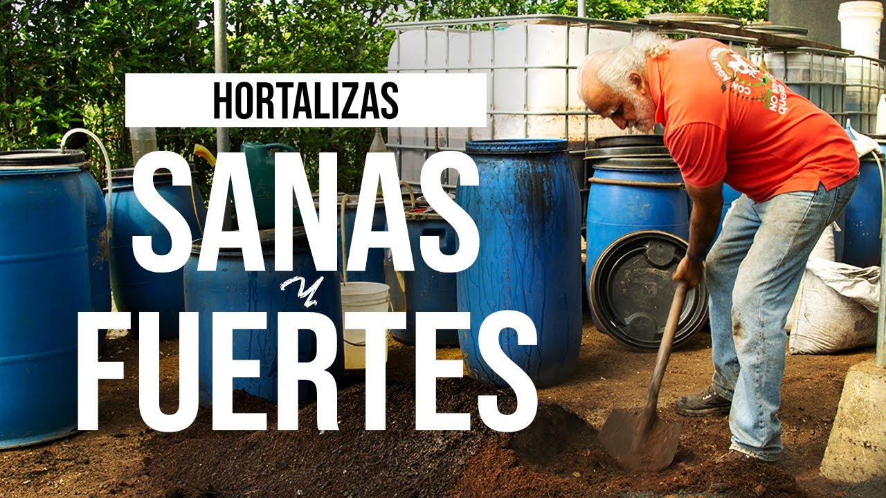 PREPARACIÓN DE SUSTRATO CON MICROORGANISMOS | Jairo Restrepo Rivera