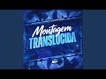 Montagem Translúcida