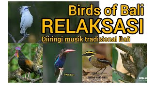 Birds of Bali || RELAKSASI dengan gamelan Bali dan kicauan burung-burung di alam liar. So Bali!