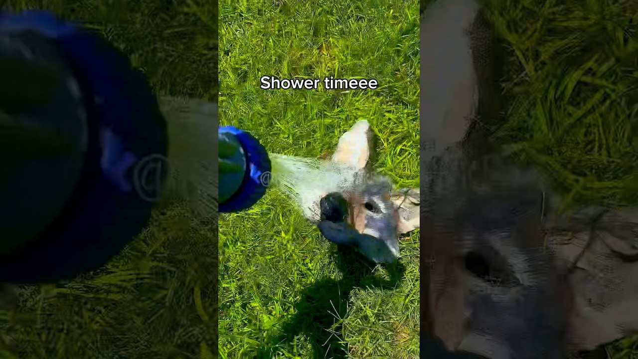 DAY 2 OF DESTROYING MY THERIAN MASK😱