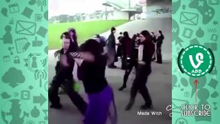 Tiger Vine Compilation