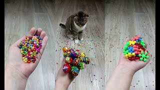 Cat Marbles Satisfying Reverse Video ASMR Funny Video