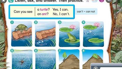 Everybody Up 1  Unit 5  Lesson 4 Animals