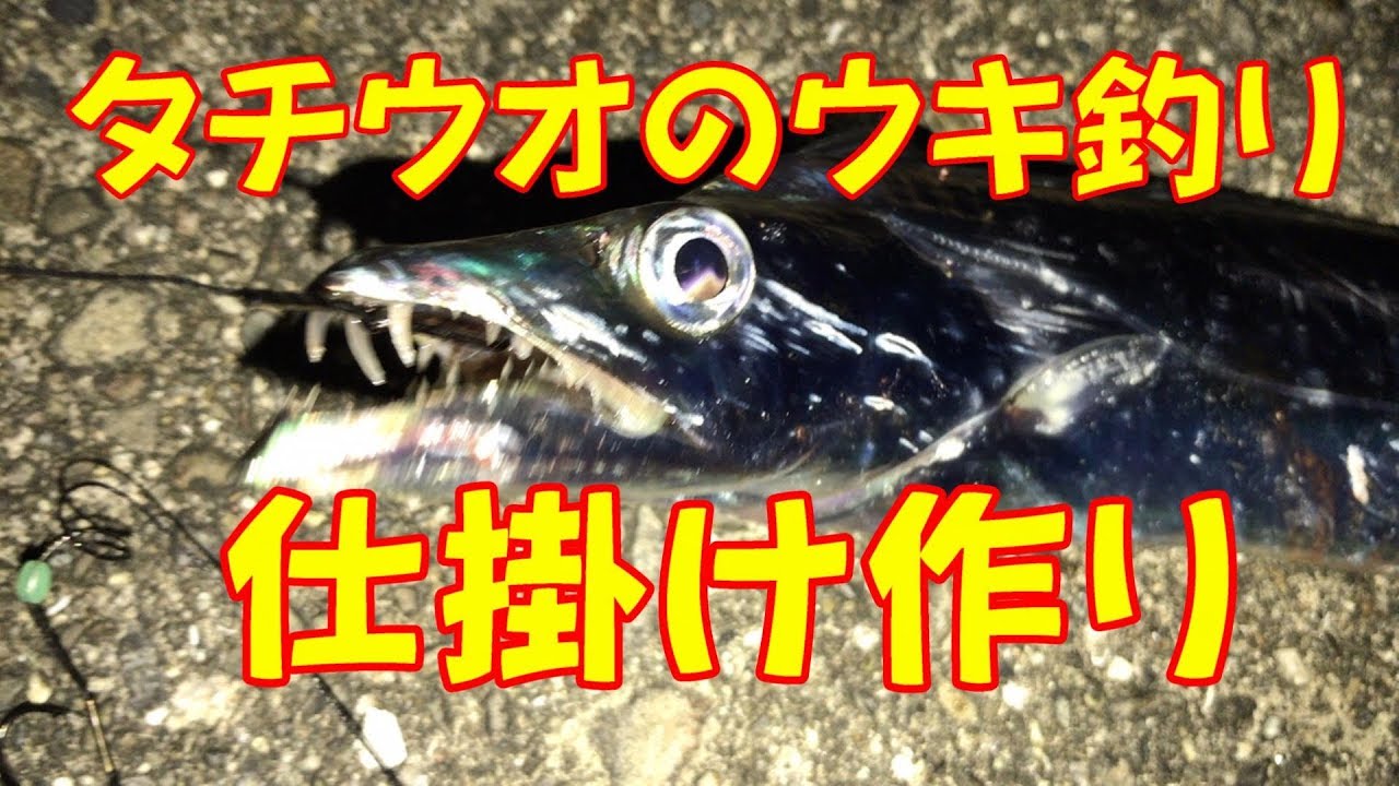 今 流行りのタチウオのウキ釣り キビナゴをエサに堤防からやってみよう 釣太郎ブログ