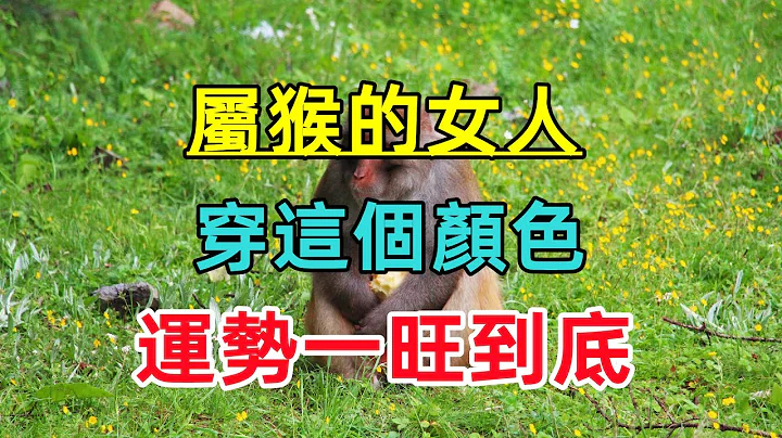 【生肖猴女最旺颜色】属猴的女人，穿这个颜色，运势一旺到底！ - 天天要闻