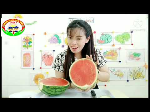Clip Khám phá Qủa Dưa Hấu Cô Cao Thị Hồng Phượng thực hiện