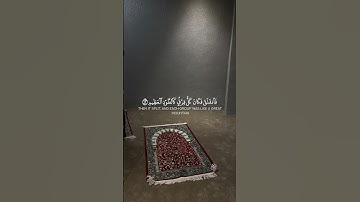 #القارئ احمد النفيس 🎧🤍