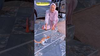 KUCING MAU JAJAN EH KABUR #shorts