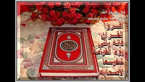 صوت يبكي الحجر وديع اليمني سورة الرحمن