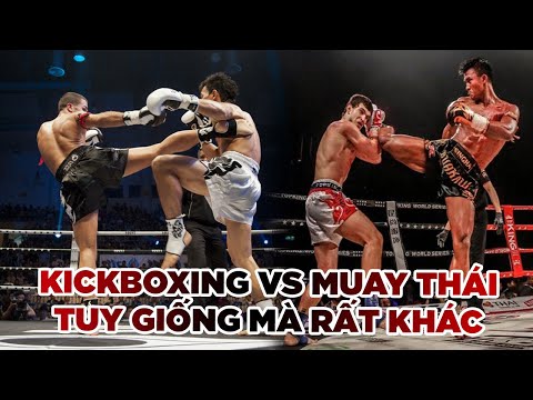 Video Kickboxing và Muay Thái: Nhìn tương đồng nhưng lại... - youtube