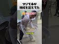 マジで手が機械を超えた