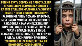 видео: Решив взять собаку из приюта, жена миллионера обомлела увидев в клетке спящего мальчика... картинка: Решив взять собаку из приюта, жена миллионера обомлела увидев в клетке спящего мальчика...