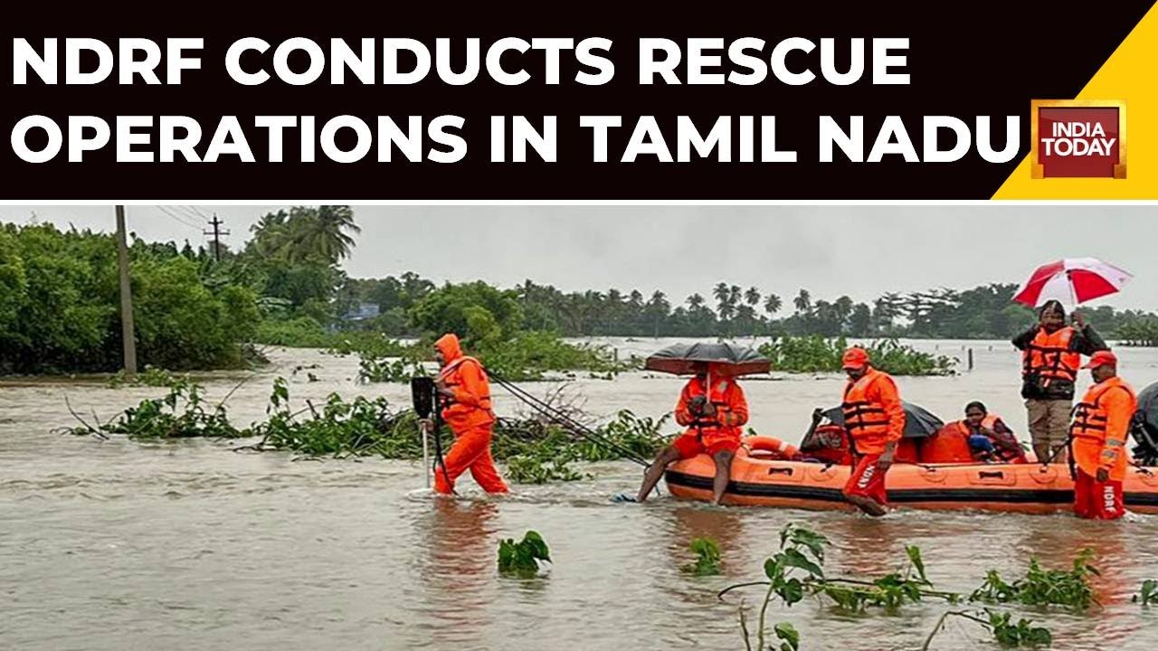 NDRF Officials Conduct Rescue Operations Amid Heavy Floods In Tamil ...