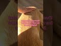 Beauty für Hunde #hund #Beauty #labrador #eyepatches #selfcare