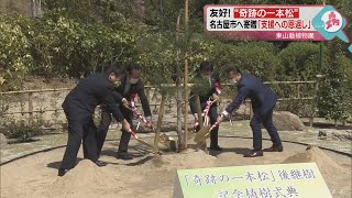 東日本大震災の津波に耐えた「奇跡の一本松」　接ぎ木で育てた後継樹を寄贈