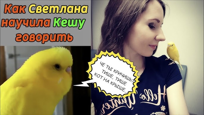 Түпнұсқа порно