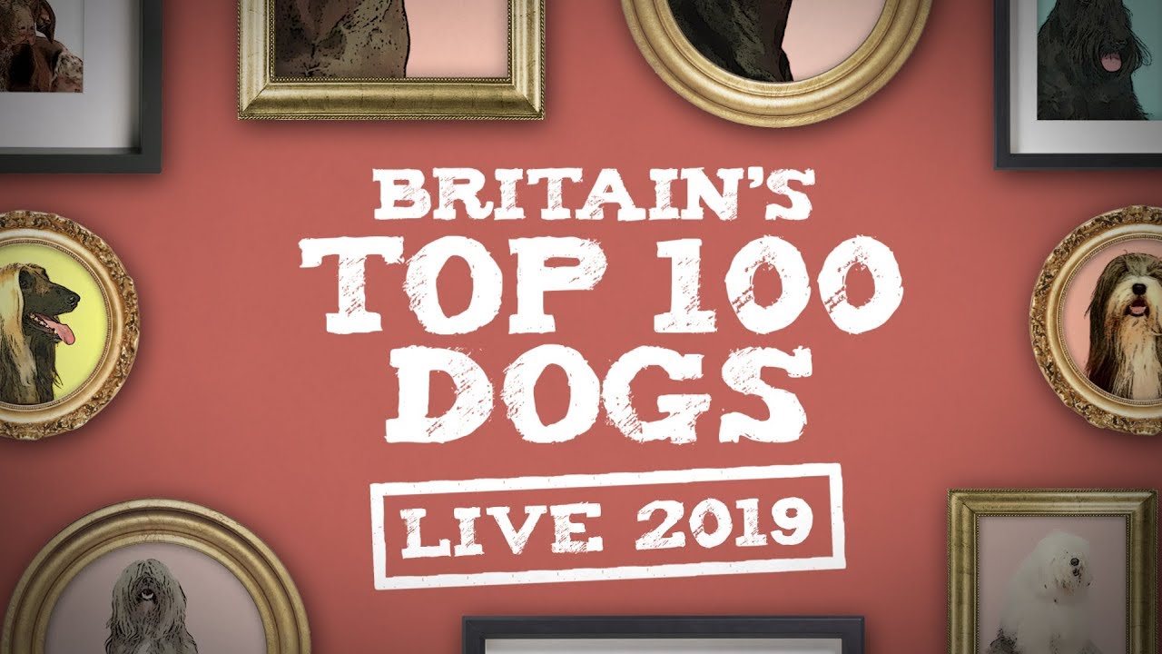 itv top 100 dogs 2019