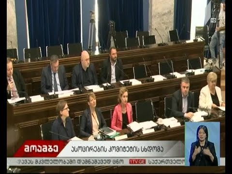 საქართველო-ევროკავშირის ასოცირების სხდომაზე რეზოლუცია მიიღეს