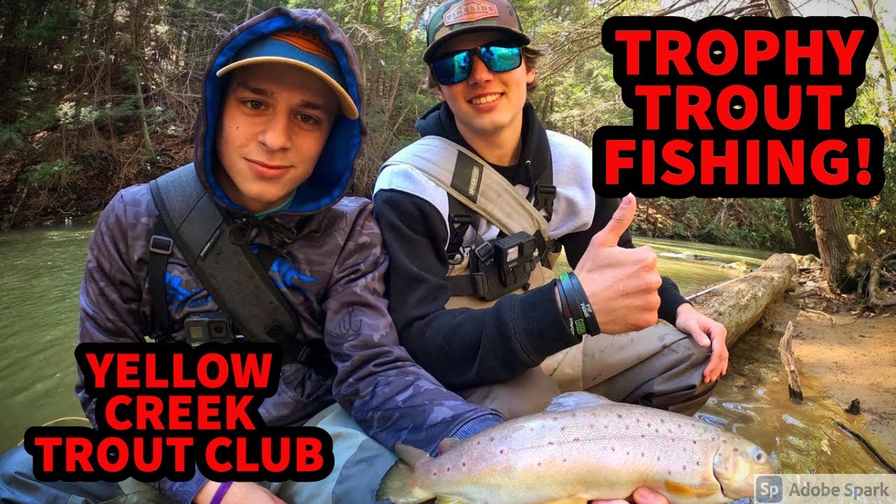 3 Monster Trout CAUGHT ! YELLOW CREEK TROUT CLUB! YouTube