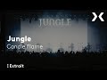 Jungle - "Candle Flame" @ Centquatre