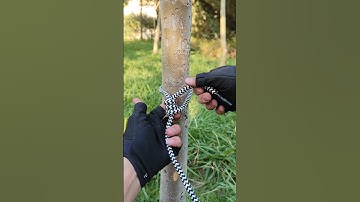 🔥This Knot Could SAVE Your Life#shorts #youtubeshorts  #knot #climbing