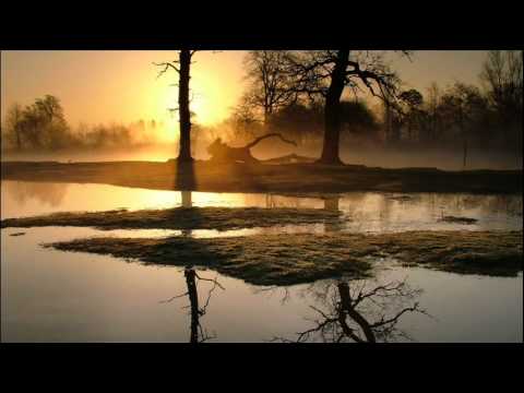 在 YouTube 上觀看「Sonsez - Reflections (Sebastian Garuti Remix)」 在 YouTube 上觀看「Sonsez - Reflections (Sebastian Garuti Remix)」