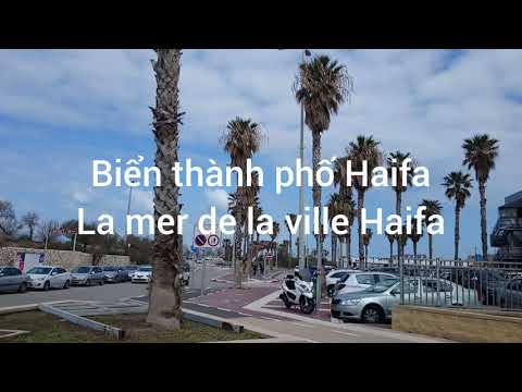 Video: Vườn Haifa và Bahai