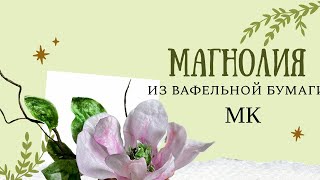 видео: Магнолия из вафельной бумаги МК/Wafer Paper Magnolia 🌸 картинка: Магнолия из вафельной бумаги МК/Wafer Paper Magnolia 🌸