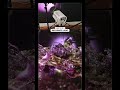 How @stormypyeatte lit this moody floral scene with 5 layers of light! #lighting #tutorial #amaran