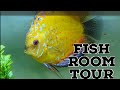 Terrys fish room tour