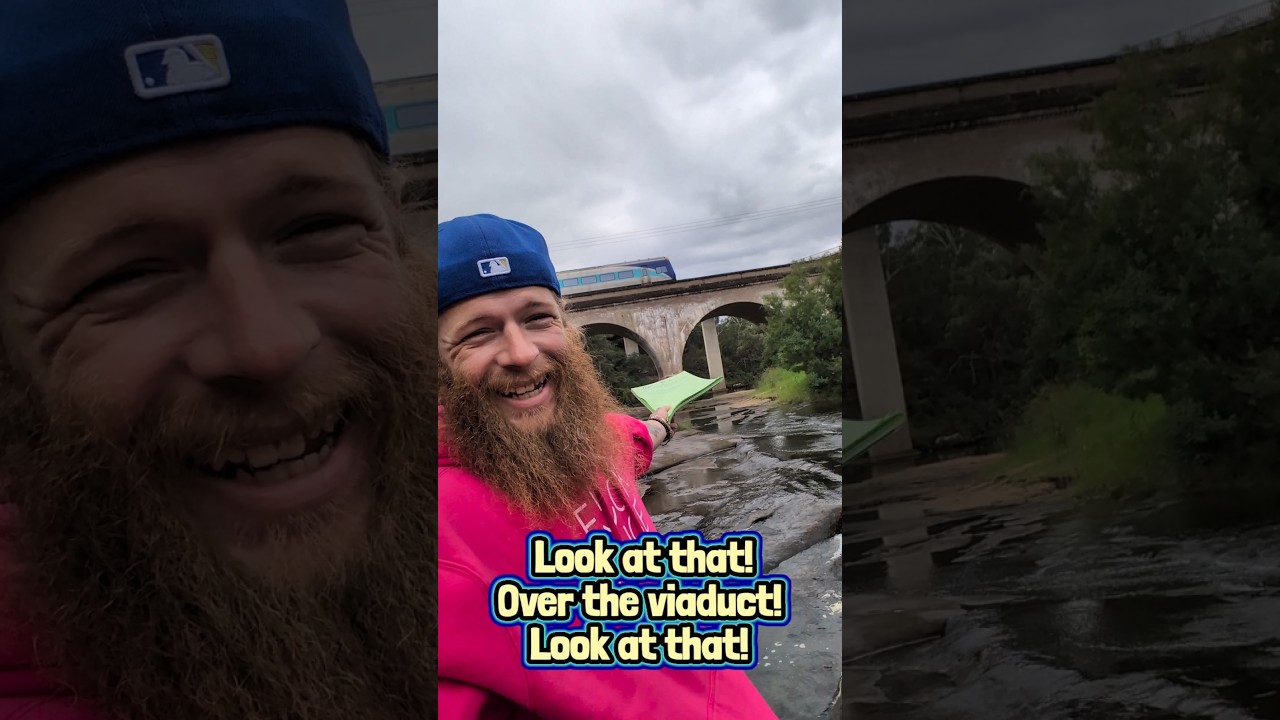 Train Over the Viaduct 🚂🌉