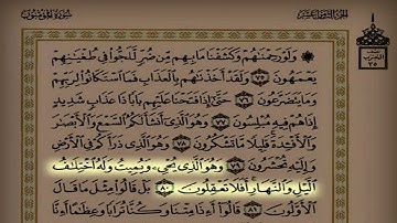 د. عاصم اللحيدان اليوم السابع و الستون سورة المؤمنون  من الآية ٥١ حتى الآية ١١٨