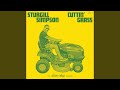 Sturgill Simpson Releases ‘Cuttin' Grass - Vol. 1 (Butcher Shoppe Sessions)’