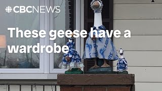Porch geese get sweet get ups