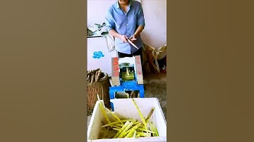 The process of hulling bamboo shoots is shared - good machinery can do more with less