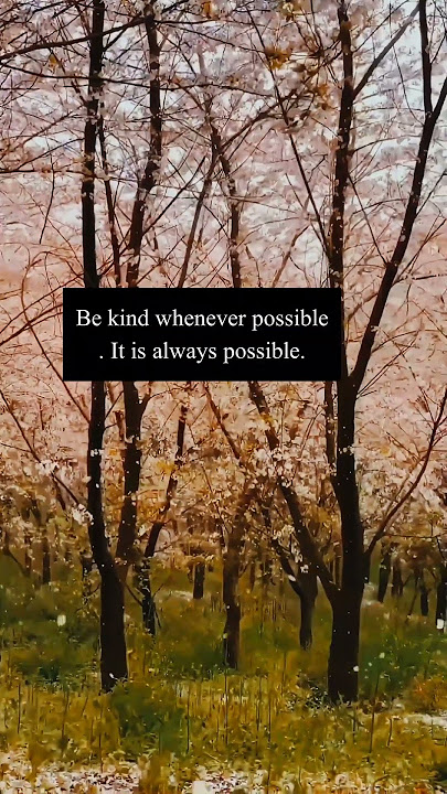 #blossom in #japan #aesthetic #music #foryou #ytshorts