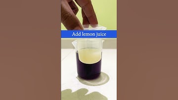 Potassium Permanganate Experiment with lemon | #science #scienceexperiment #sciencekipaathshala