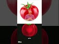 🍅 Tomato Flowers Explained | Tomato Plant Flowering Stage | Gardening Tips 🌼