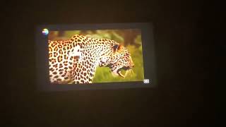 Show Tv Hd - Gece Yayın Kapanış Anı Haziran 2011